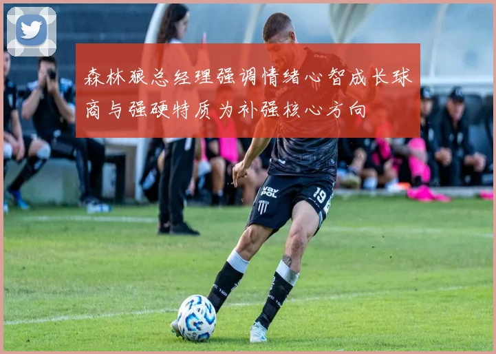 森林狼总经理强调情绪心智成长球商与强硬特质为补强核心方向